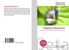 Buchcover von Pagodula Abyssorum