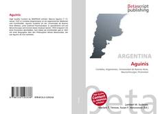 Copertina di Aguinis