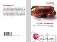 Copertina di Pagurus Bernhardus