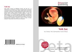 Copertina di Yolk Sac