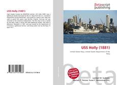 Couverture de USS Holly (1881)