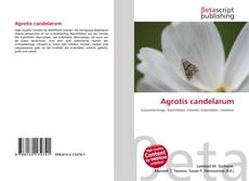 Couverture de Agrotis candelarum