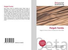 Buchcover von Paigah Tombs