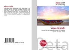 Copertina di Agua Grande