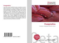 Couverture de Praegmelina