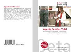 Copertina di Agustin Sanchez Vidal