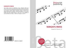 Copertina di NSRGNTS RMXS
