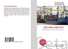 Buchcover von USS Inflict (AM-251)