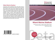 Couverture de Miami Marine Stadium