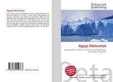 Copertina di Aguja Poincenot