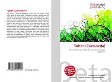 Copertina di Toltec (Castaneda)