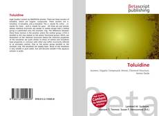 Toluidine kitap kapağı