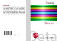 Capa do livro de Rhes-y-cae 