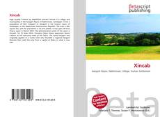Couverture de Xincab
