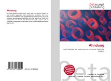 Copertina di Ahndung