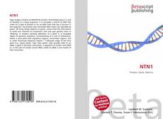 Copertina di NTN1