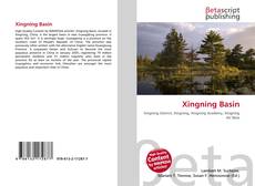 Copertina di Xingning Basin