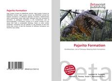 Buchcover von Pajarito Formation