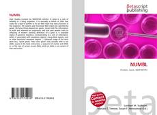 Copertina di NUMBL