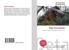 Copertina di Paja Formation