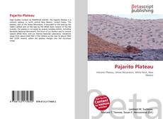 Copertina di Pajarito Plateau