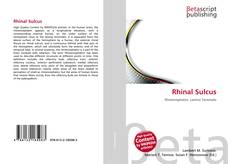 Buchcover von Rhinal Sulcus