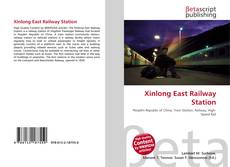 Xinlong East Railway Station的封面