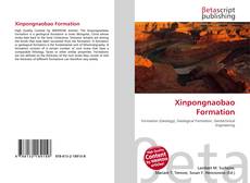 Xinpongnaobao Formation kitap kapağı