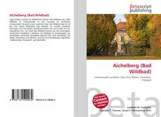 Capa do livro de Aichelberg (Bad Wildbad) 