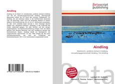 Couverture de Aindling
