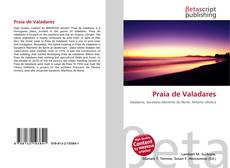 Portada del libro de Praia de Valadares