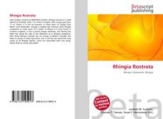 Capa do livro de Rhingia Rostrata 