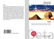 Capa do livro de KV5 