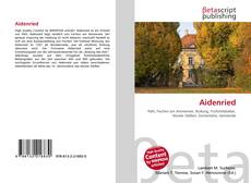 Обложка Aidenried