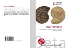 Xitun Formation的封面
