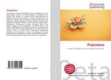 Bookcover of Prajnatara