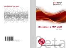Copertina di Rhizobiales-2 RNA Motif