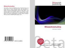 Buchcover von Rhizochromulina