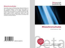 Capa do livro de Rhizochromulinales 