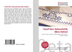 Buchcover von Yosef Dov Soloveitchik (Beis Halevi)