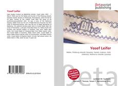 Buchcover von Yosef Leifer