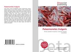 Bookcover of Palaemonetes Vulgaris