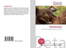 Copertina di Palaeocastor