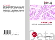 Wolfgangsee kitap kapağı