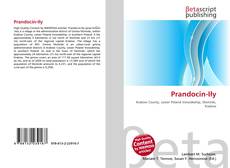 Portada del libro de Prandocin-Iły