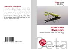 Palaemnema Reventazoni的封面