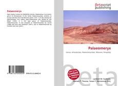 Buchcover von Palaeomeryx