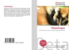 Buchcover von Palaeotragus