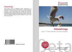 Portada del libro de Palaeotringa