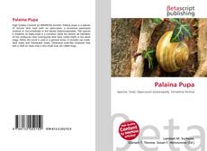 Portada del libro de Palaina Pupa